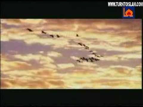 Ma Allah Nasheed Alafasy