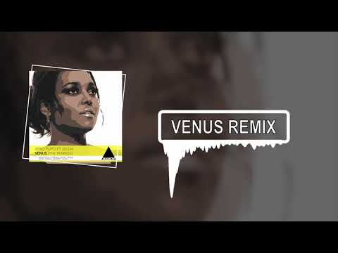 Venus Saxogroup Remix