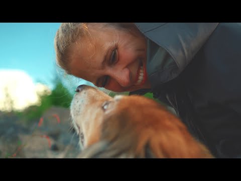 My Sun and Stars - Friends Like Us (Official Music Video)