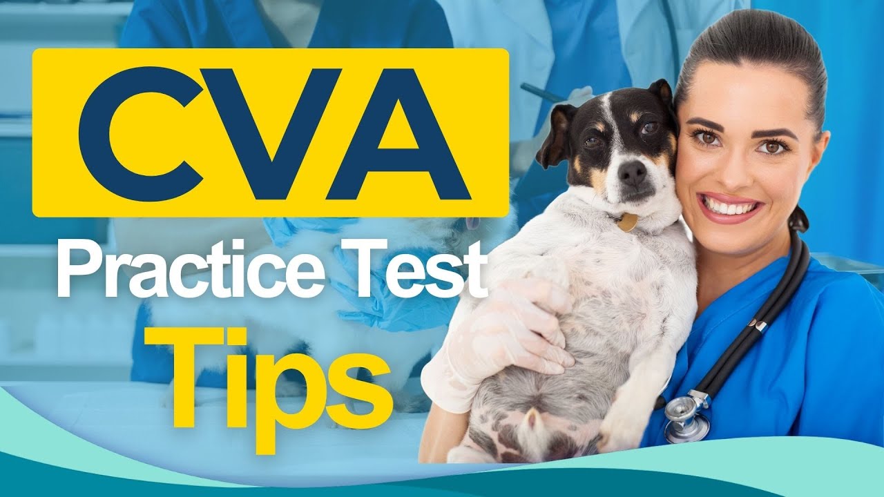 CVA Certification Practice Test 2026 - Certified Veterinary Assistant All You Need to Know