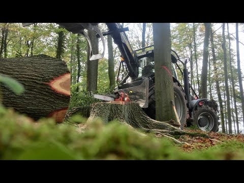 Husqvarna 390 XPG .. Ende Ihrer Zeit