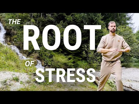The #1 Energy Imbalance in TCM: Fix it with this Medical Qigong