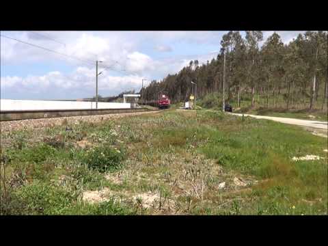 Comboio de Madeira nº 48892 - Linha do Oeste