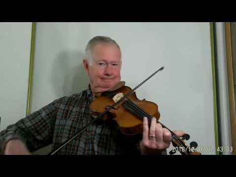 Gliga Maestro Violin Prim Strings-Star of the Munster