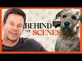 Mark Wahlberg Talks Working with Dog Co-Star & Tearing Meniscus | Behind the Scenes