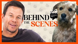 Mark Wahlberg Talks Working with Dog Co-Star & Tearing Meniscus | Behind the Scenes