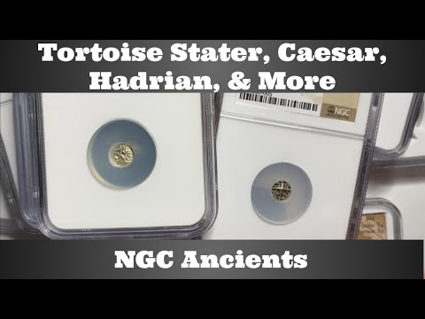 NGC Ancients - Tortoise Stater, Caesar, Hadrian, & More