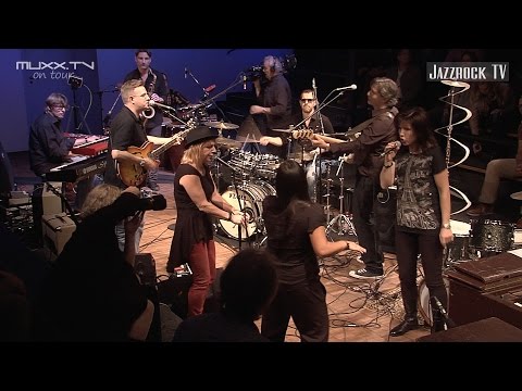 SuperStrut – Vinyl Is My Bible