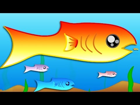 FISHY - YouTube