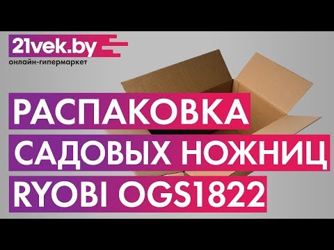 Миниатюра изображения товара Кусторез аккумуляторный Ryobi OGS1822 (5133002830)