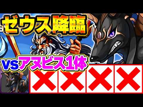【無理ゲー】アヌビス1体リーダーのみ縛りでヘラ降臨を攻略する配信！2日目【パズドラ】