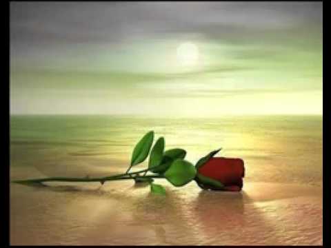 download lagu mp3 mp4 Los Rancheros Mujer, download lagu Los Rancheros Mujer gratis, unduh video klip Los Rancheros Mujer
