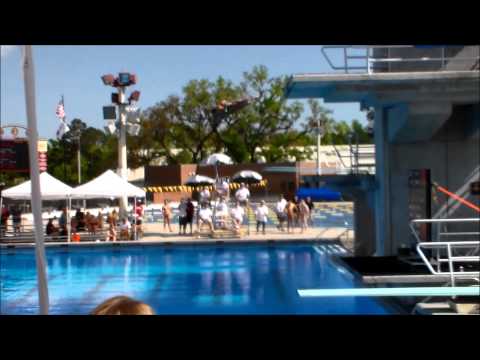 USA Diving's 2014 FINA World Cup synchro teams