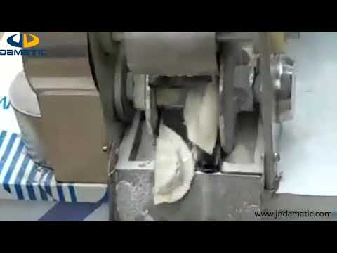 Automatic Dumplings Machine