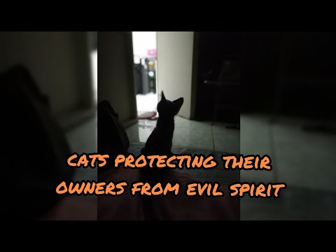 CATS PROTECT YOU AND YOUR HOME FROM EVIL SPIRITS
