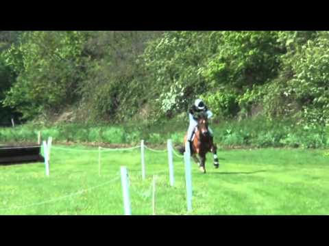 MK3DE 2013 Steeplechase