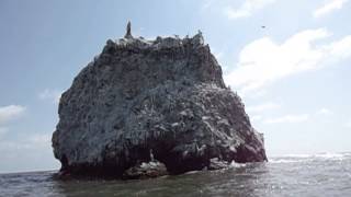 preview picture of video 'Travel to San Blas, Tepic, Nayarit, México'