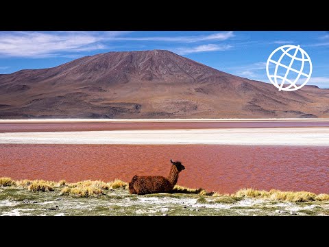 Bolivia Altiplano & Salar de Uyuni  [Amazing Places 4K]
