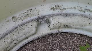 Kenmore Elite Front-Loading Washer Loud on Spin Cycle