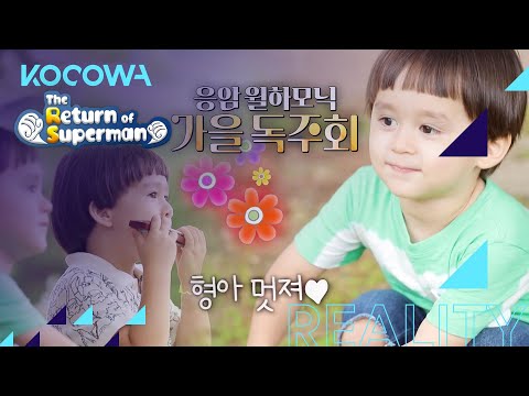 William's music makes Bentley dance [The Return of Superman Ep 351]