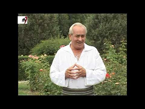 Nelu Balasoiu  - Cand oi fi mama plecat