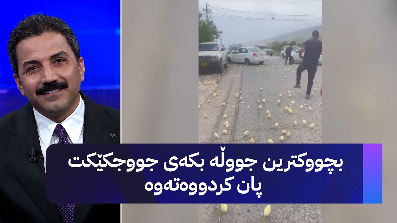 ڤیدیۆ | بچووکترین جووڵە بکەی جووجکێکت پان کردووەتەوە