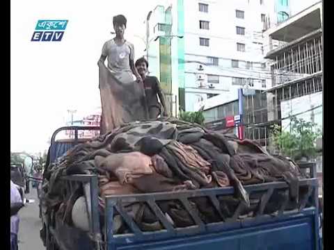 ঈদুল আজহায় সাড়ে ৫ লাখ পশুর চামড়া সংগ্রহের উদ্যোগ নিয়েছেন চট্টগ্রামের আড়তদাররা