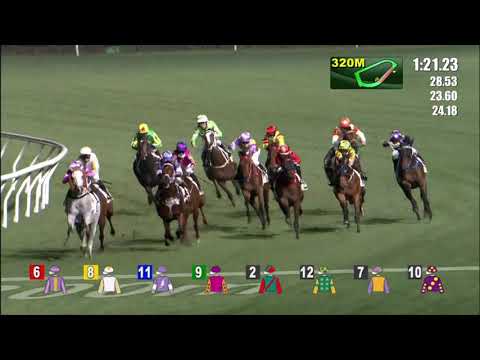 24/3/2021 (535) Farshad -  K Teetan