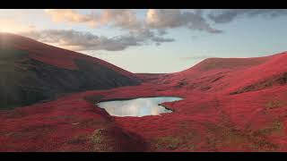 Kenzo Le Rouge Flower – A Scarlet Intensity (2026)