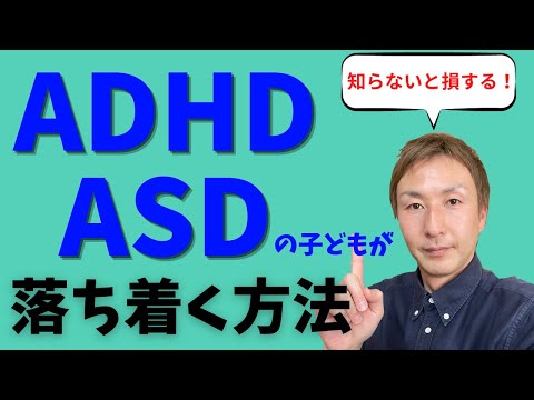 多動の猫を落ち着かせる方法