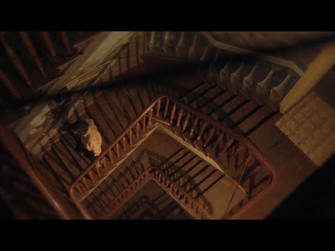 dan gibes - pasta (Official Video)