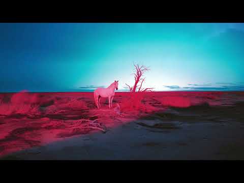 indie tribe - BELOW THE BELT FREESTYLE (prod by Nate Rose)