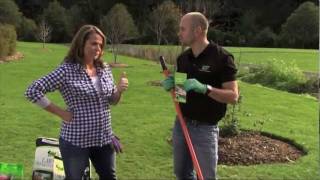 TUI TIME How to grow a lush lawn at your home