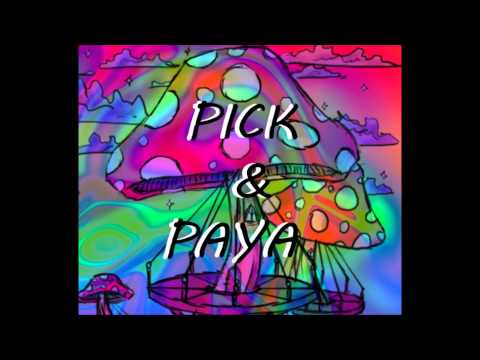 Pick & Paya - Goodbye Mongetta