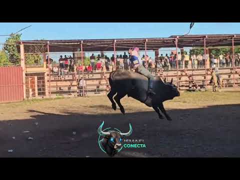 RODEO TEUSTEPE BOACO 