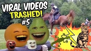 Annoying Orange - VIRAL VIDEOS TRASHED! #5 | Cat vs Lizard and MORE!