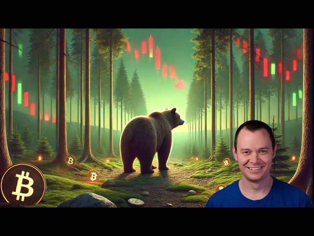 Benjamin Cowen – Bitcoin: Dubious Speculation (24.02.2026 Summary)