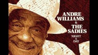 andre williams - mississippi & joliet