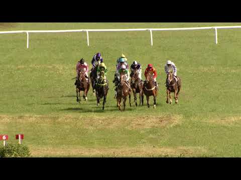 NE, 16. 8. 2020, 6. dostih - STEEPLECHASE EKOS NETOLICE, FRANTIŠEK KOCÁR, SVITÁK, NOVÁČEK A SPOL