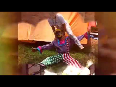 Acampamento sênior 30