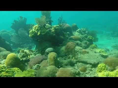Snorkeling at Girl Scout beach GTMO