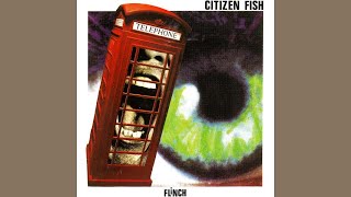 Music video thumbnail preview for Citizen Fish - Circular Vision by Citizen Fish
