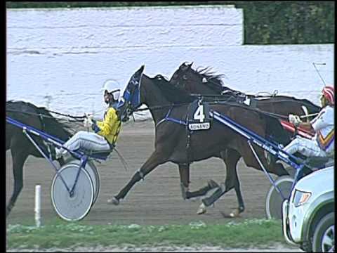 Trotto 23/09/2016 - 5ª corsa