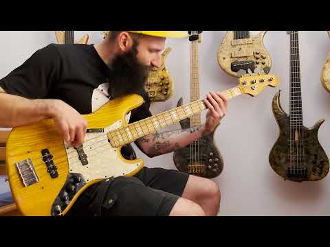 Anomalie  - Le Bleury (bass cover)