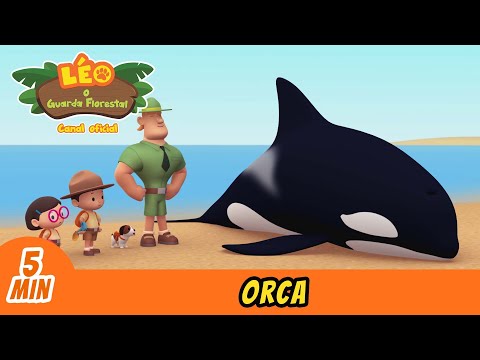 , title : 'A Orca | Leo, O Guarda Florestal | Minisode | Animação'