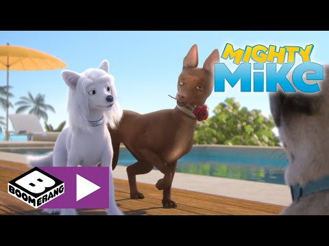 Mighty Mike | Dog Love | Boomerang UK 🇬🇧