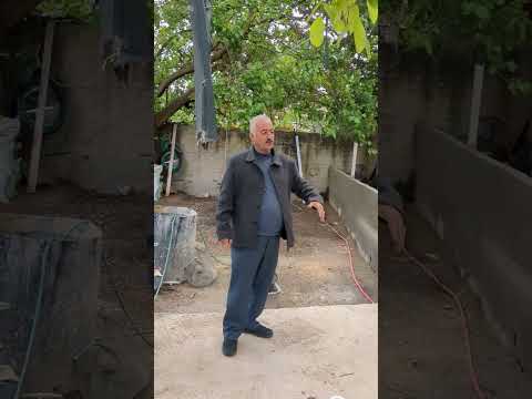 View the video here