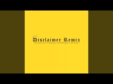 Disclaimer (Remix)