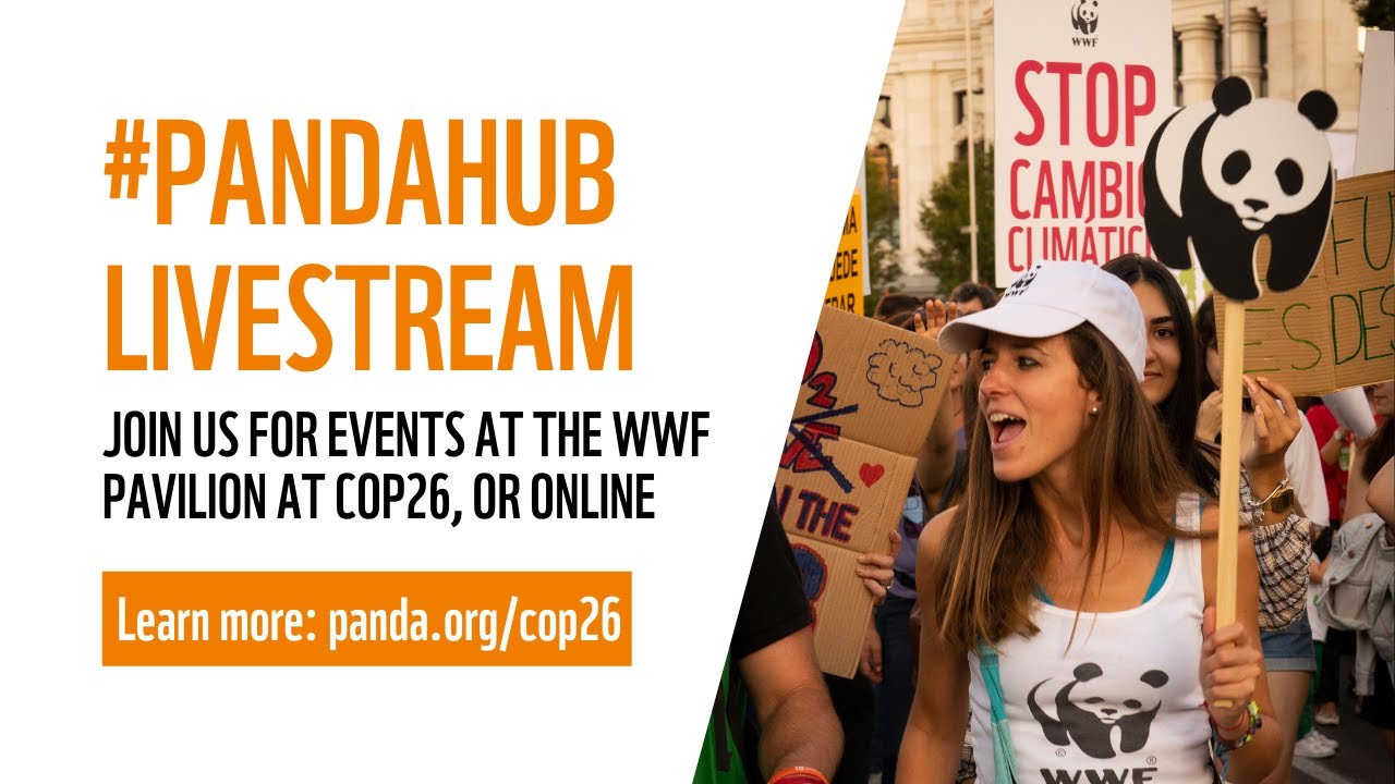 Climate adaptation finance to support sustainable smallholder supply chains