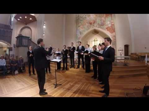 A Boy and a Girl (Whitacre) - Sofia Kammarkör